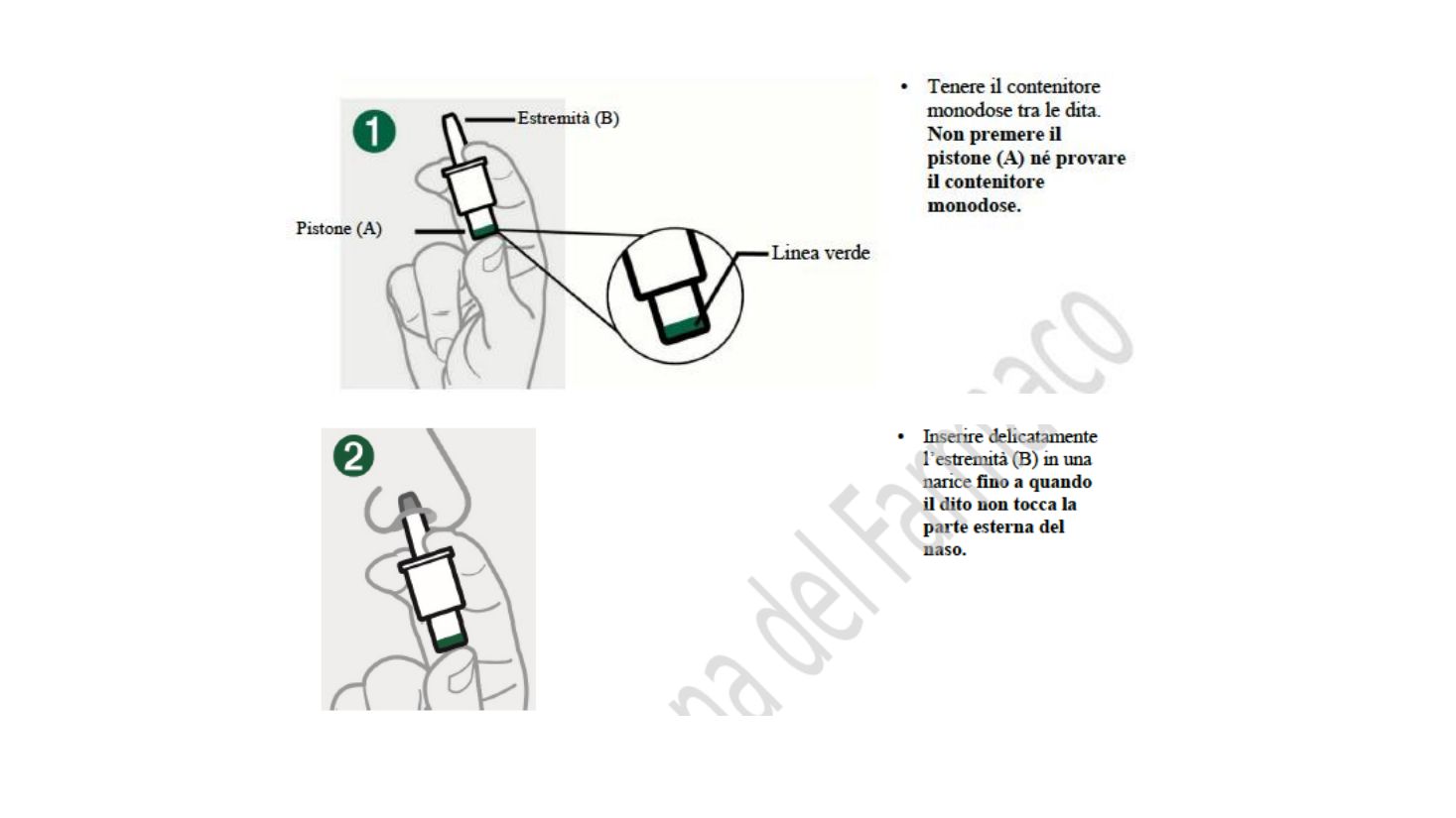 Come tenere e inserire il contenitore